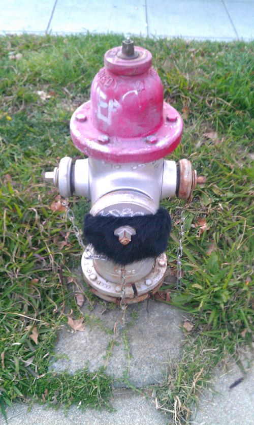 bearded-fire-hydrant-sacramento